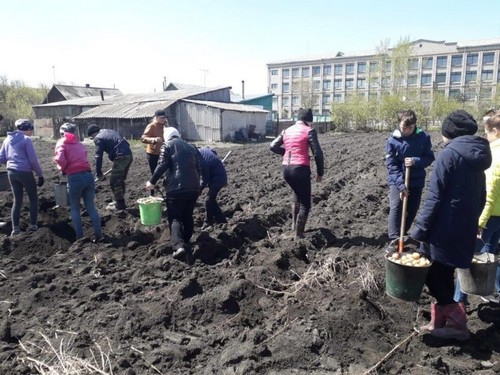 Погода северо казахстанская область тайынша